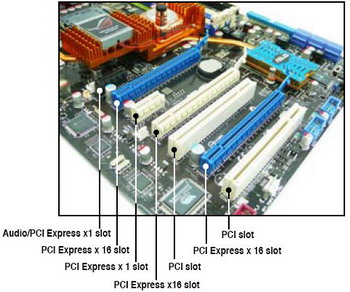 Asus Striker II Extreme