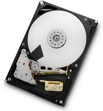 HGST MegaScale DC 4000.