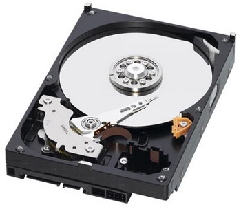 Hard disk WD AV