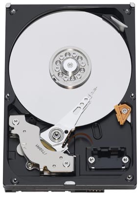 western digital AV