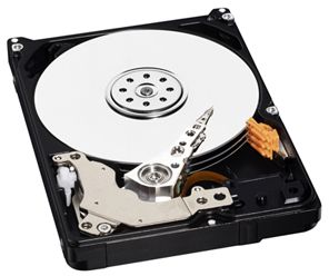 Western digital 1 Tb 333 gb plate 
