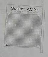 socket am2+