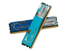 g.Skill DDR 3-1333 CL8 HK