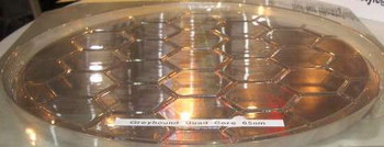 k10 amd cpu 65nm silicic plate