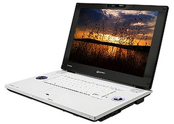 qosmio g45 notebook