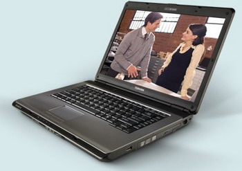 satellite pro l300 and L300D